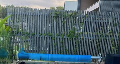 Waterfront Escape: The Shed on South Stradbroke Island