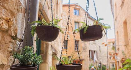 Le Bonheur au Soleil – Heart of Tourrettes-sur-Loup