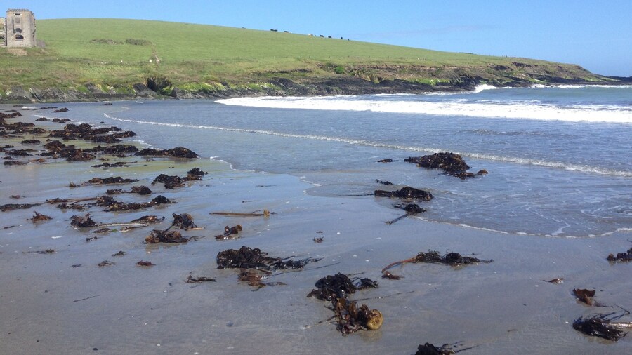 Secret Cottage by the Sea Kilbrittain Co Cork