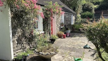 House | Property grounds