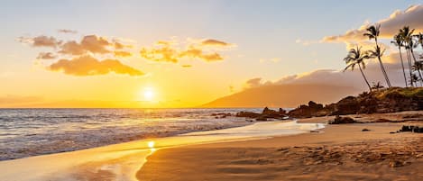 Una playa con atardecer, palmeras y afloramientos rocosos.