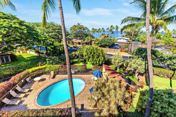A swimming pool surrounded by palm trees and a well-maintained garden. - Loft condo with stunning ocean & pool views (Kihei)