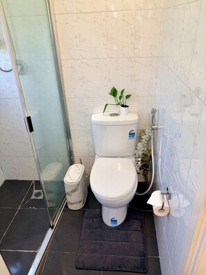 Shower, hair dryer, bidet, towels