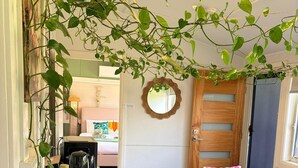 A kitchen with a marble countertop, a coffee maker, and a hanging plant.