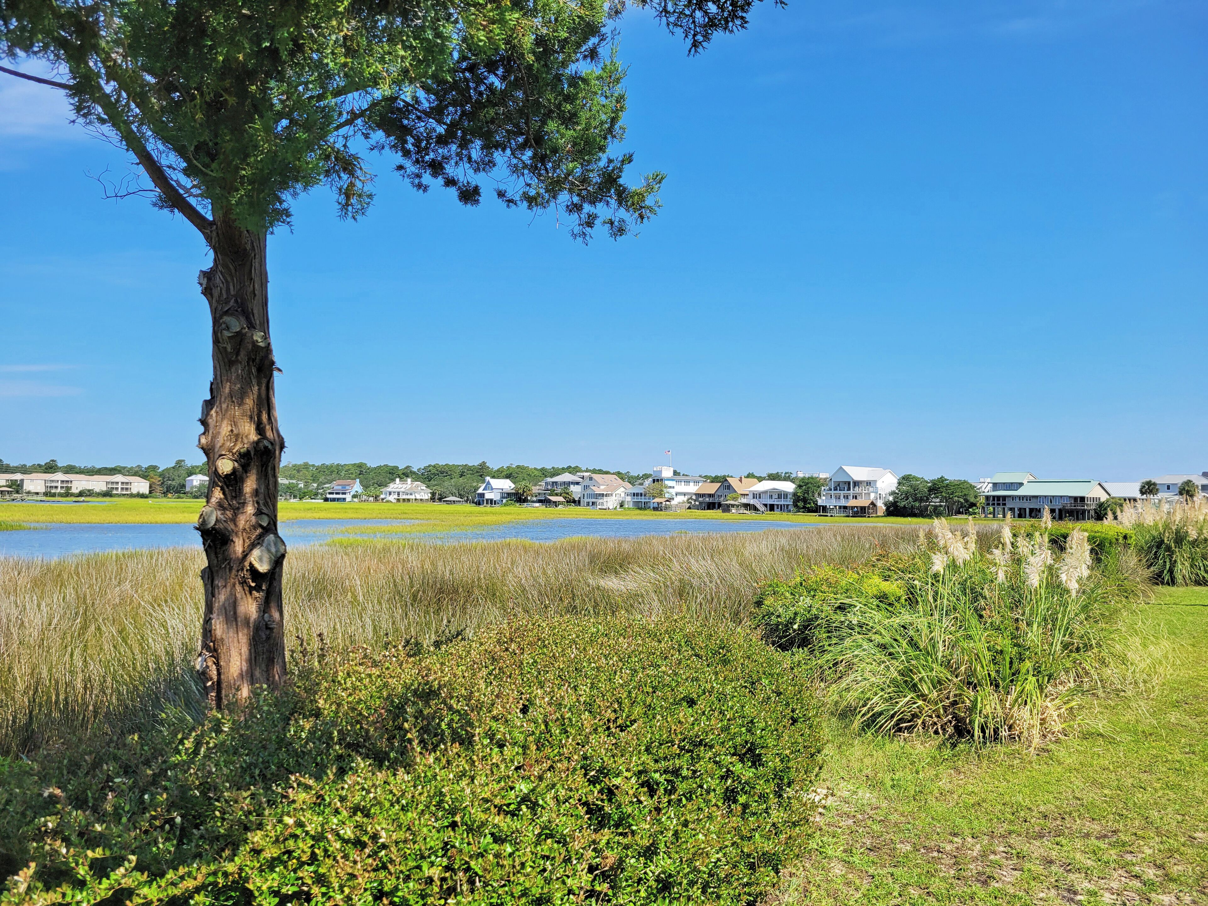 Un paysage côtier avec un arbre, des zones herbeuses et une rangée de maisons au bord de l’eau.