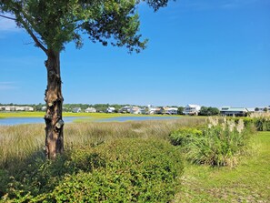 Property grounds - Creekfront Townhouse, Beach/Pool Access, 2 King Bedrooms with Creekfront Balcony (Pawleys Island)
