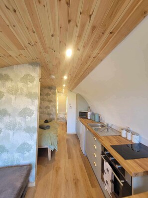 Frigorífico, microondas, horno y placa de cocina