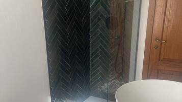 Shower, hair dryer, bidet, towels