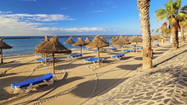 Una playa con sombrillas de techo de paja, sillas reclinables azules y palmeras.