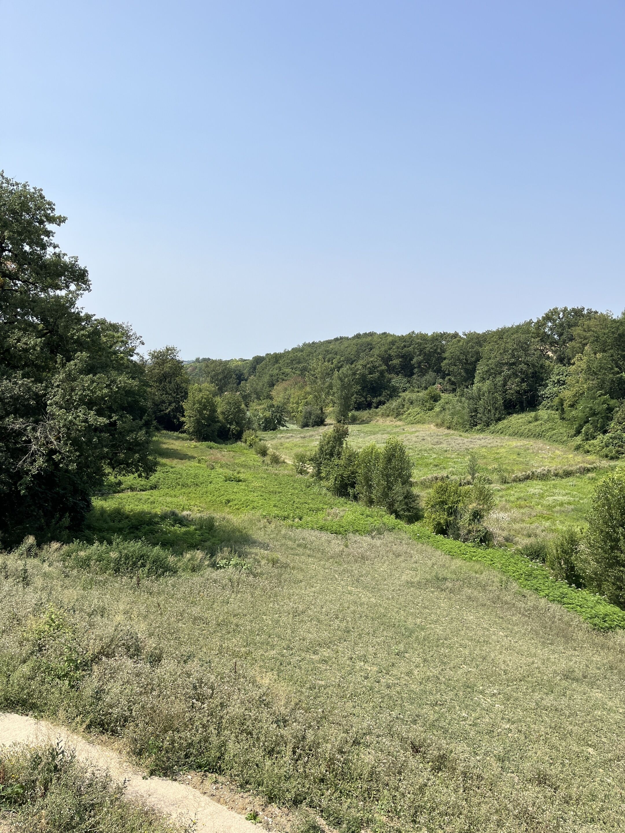 Un paysage naturel caractérisé par des collines douces et une forêt dense.
