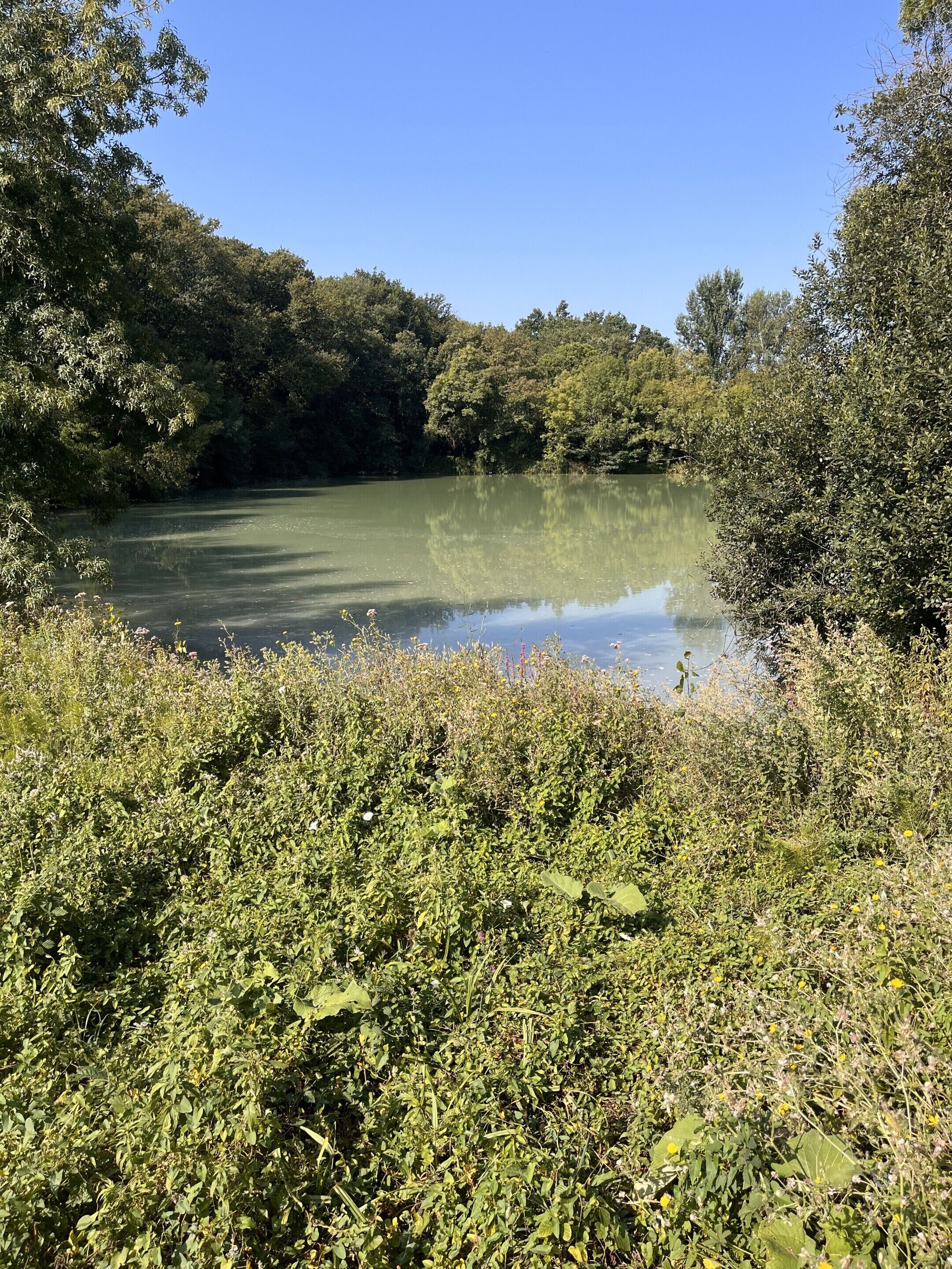 Un paysage naturel composé d’une étendue d’eau entourée d’une végétation luxuriante et d’arbres.