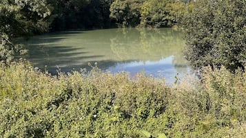 Un paysage naturel composé d’une étendue d’eau entourée d’une végétation luxuriante et d’arbres.