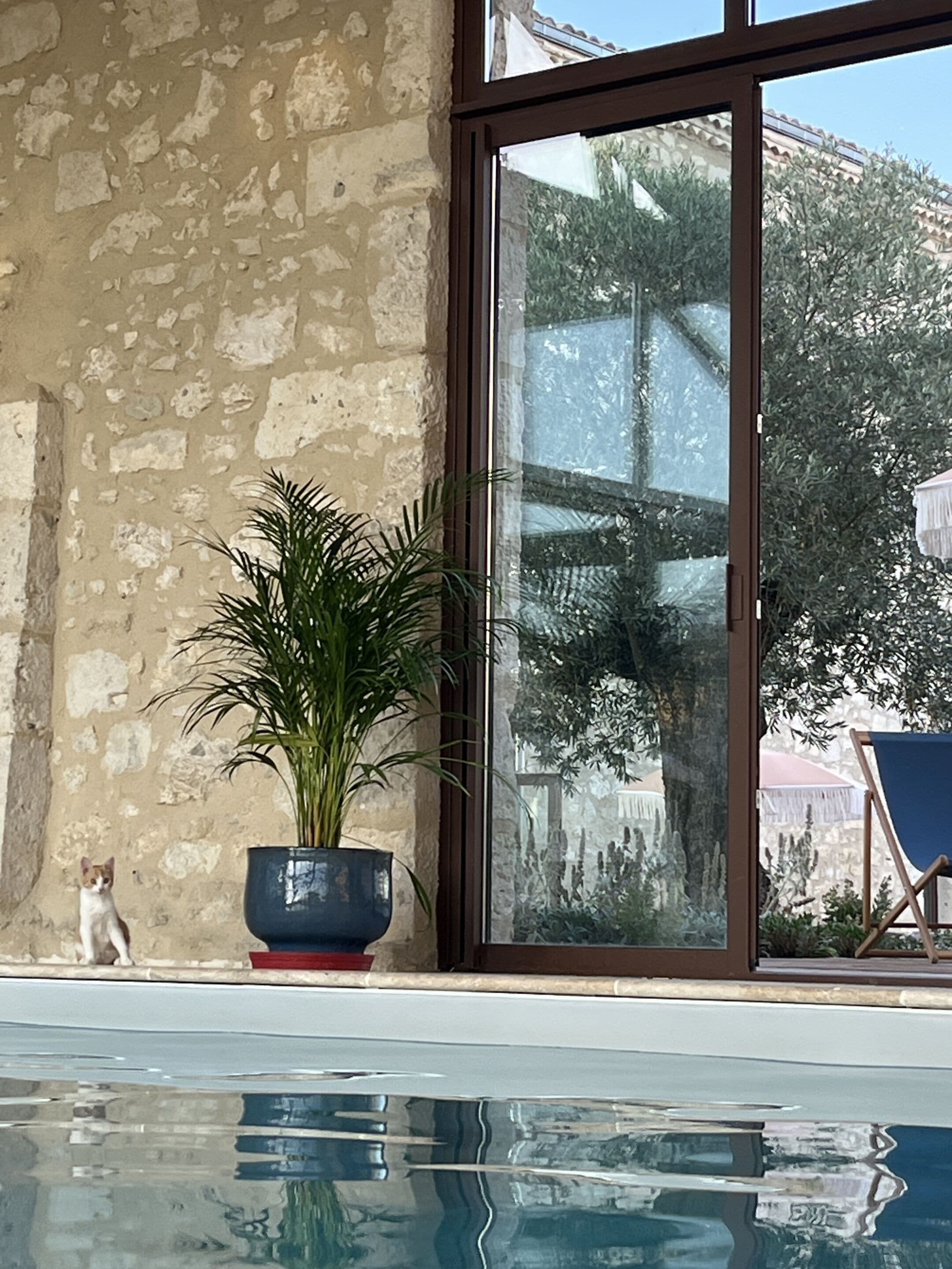 A pool area with a stone wall, a potted plant, and a view of trees and buildings through a glass door.
