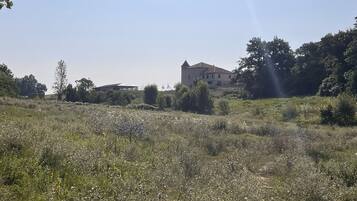 Paisaje rural con una gran edificación histórica rodeada de campos y árboles.