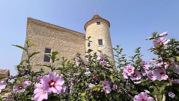 Esterni