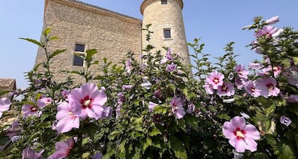 Domaine Lassalle Saint-Créac