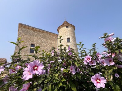Domaine Lassalle Saint-Créac