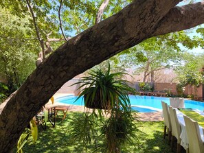 Ein Poolbereich mit einem Baum darüber, umgeben von viel Grün und einer Essgelegenheit.