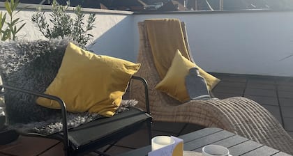 Über den Dächern der Landshuter Altstadt