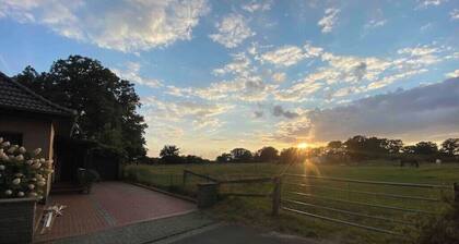 Souterrain Wohnung an einer Pferdeweide