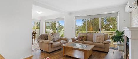 Smart TV, chimenea, libros