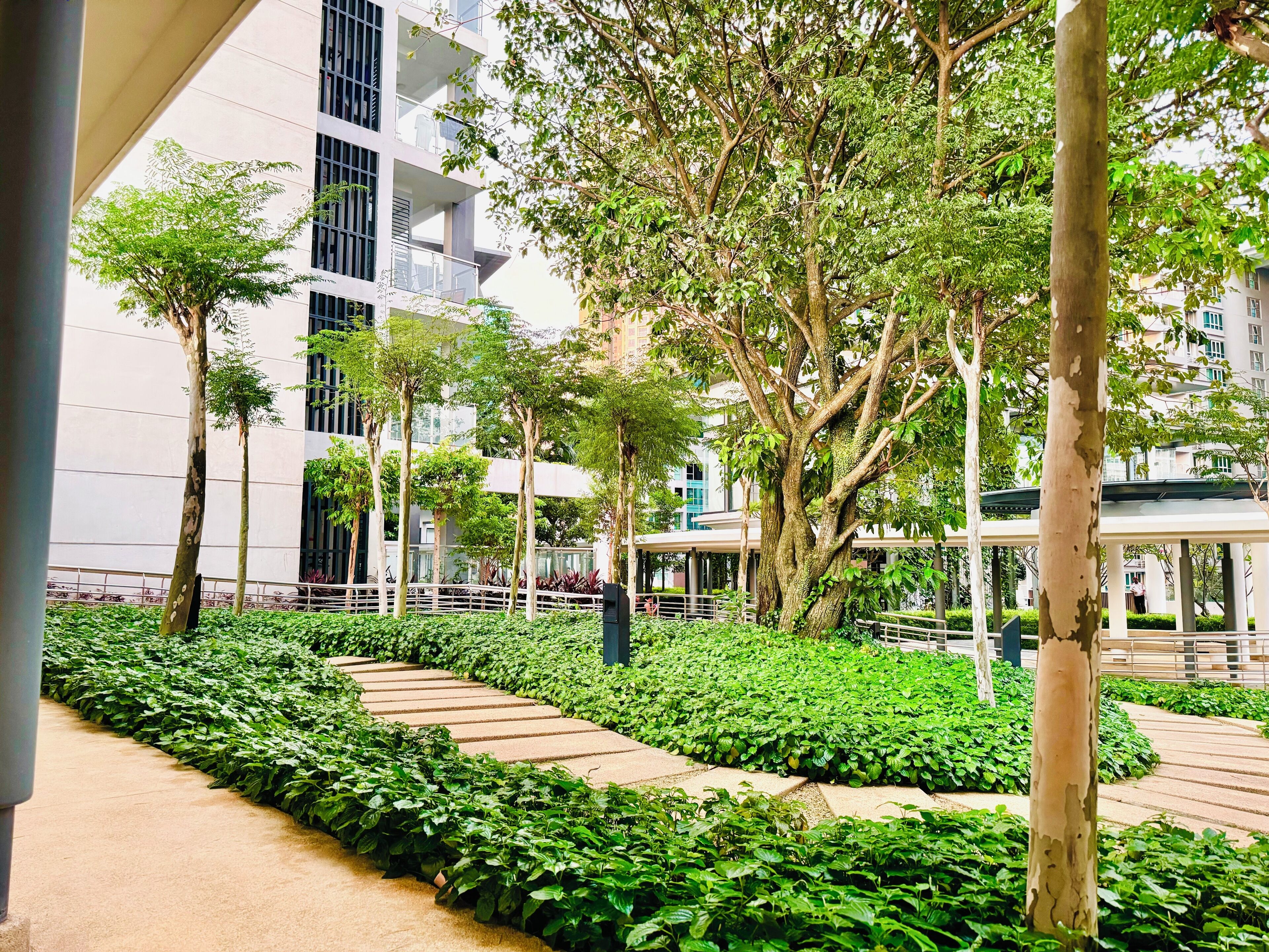 Comfort Apartment, 2 Bedrooms, City View | Garden