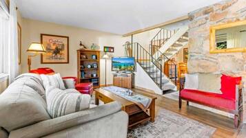 Smart TV, fireplace, DVD player, books