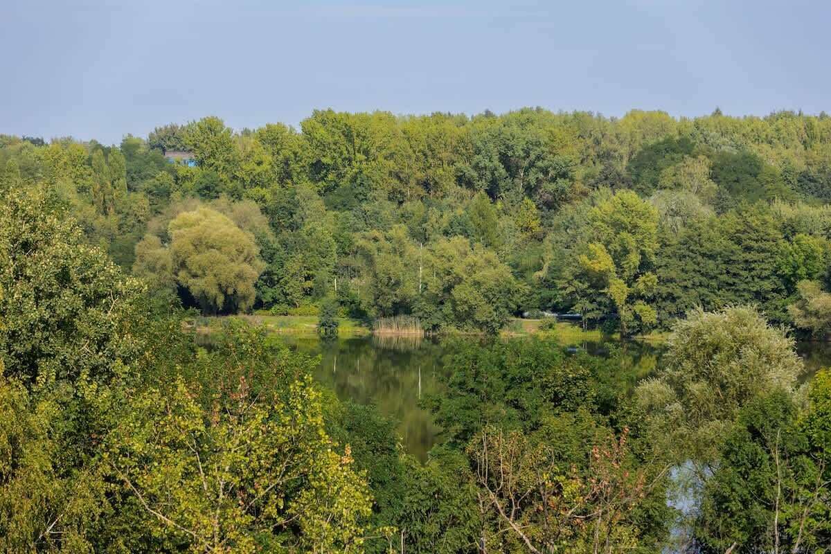 Un paysage naturel avec un lac entouré d’une forêt dense et une colline en arrière-plan.