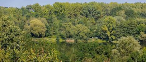 Un paysage naturel avec un lac entouré d’une forêt dense et une colline en arrière-plan.