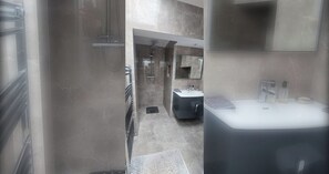 A modern bathroom with a large sink, a mirror, and a shower area.