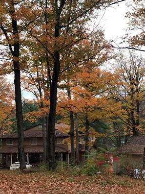 A residential area with houses surrounded by trees with autumn foliage.