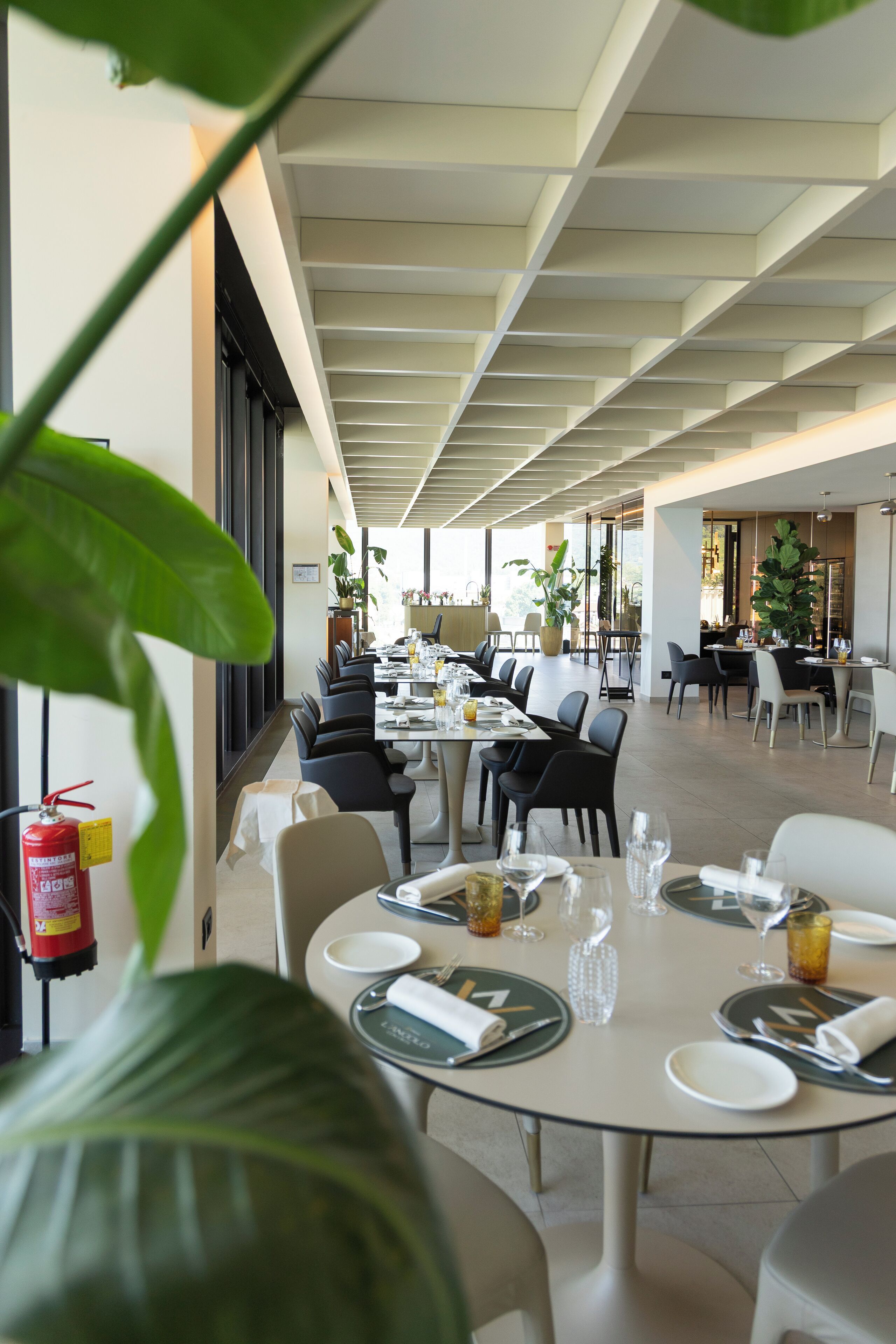 Un restaurante moderno con mesas dispuestas para comer, ventanas amplias y plantas de interior.