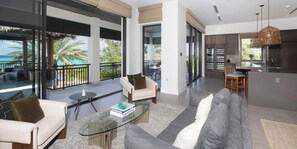 TV, books, stereo, computer monitors