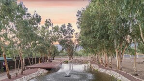 A serene garden with a pond, surrounded by trees and a wooden deck with chairs. - Charming 3BR Villa, Heated Pool and BBQ | Solana 6 (Tucson)