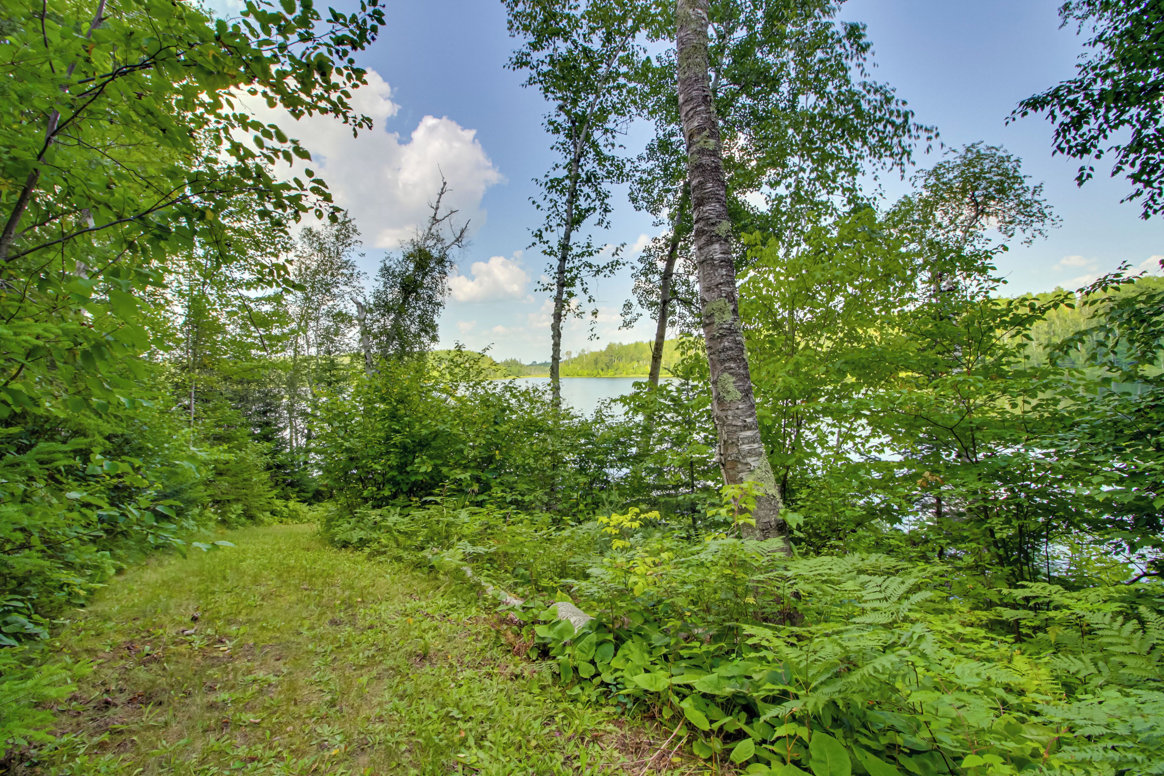 A natural landscape with dense greenery, trees, and a lake.