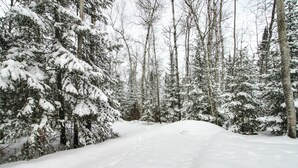 A snowy forest path surrounded by snow-covered trees. - Ice Fish on South Fork Lake From Nashwauk Studio (Nashwauk)