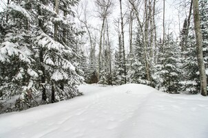 Un sendero nevado en un bosque rodeado de árboles cubiertos de nieve.