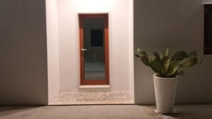 Une porte dotée d’un cadre en bois et d’un panneau de verre, une plante en pot placée à côté, et une petite marche menant à la porte.