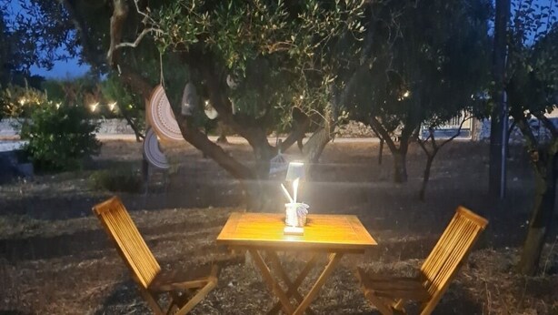 Un espace extérieur aménagé avec une table et deux chaises, installé sous un arbre, et entouré d’herbe sèche et de quelques plantes.