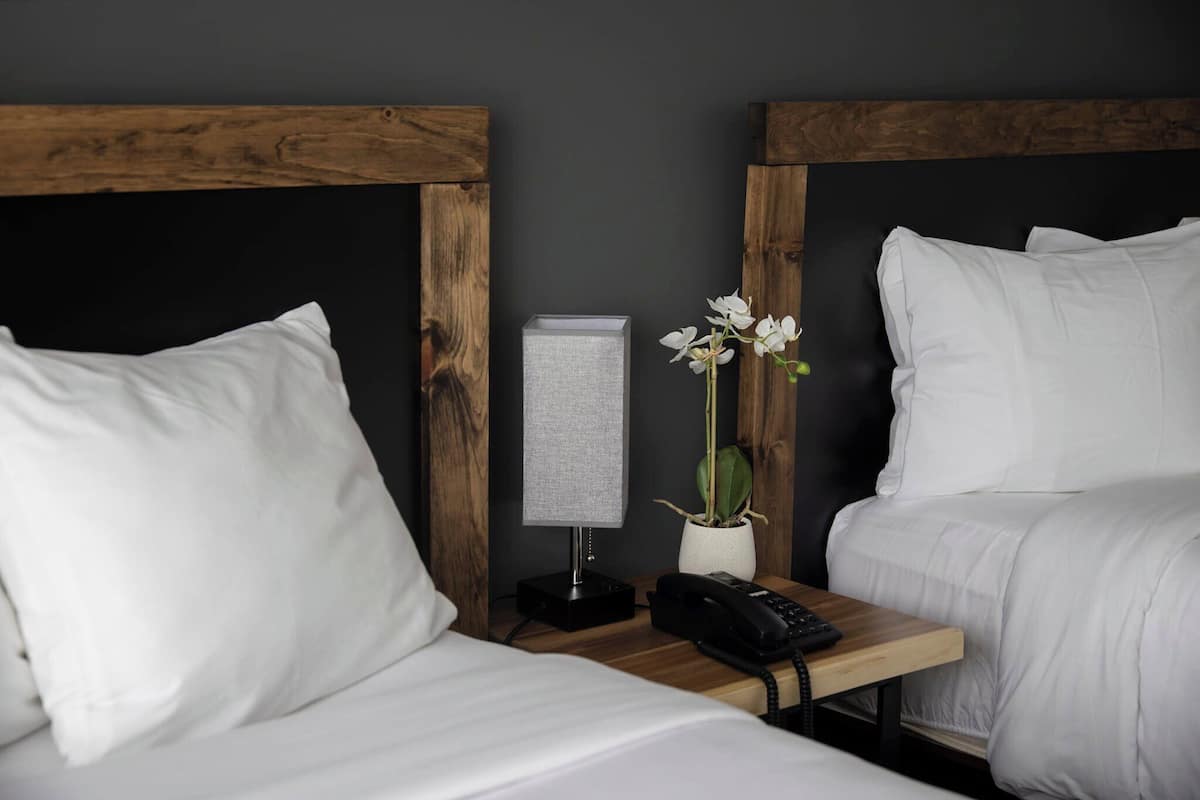 Une chambre d’hôtel avec deux lits, une table de chevet avec une lampe, un téléphone et une plante en pot.