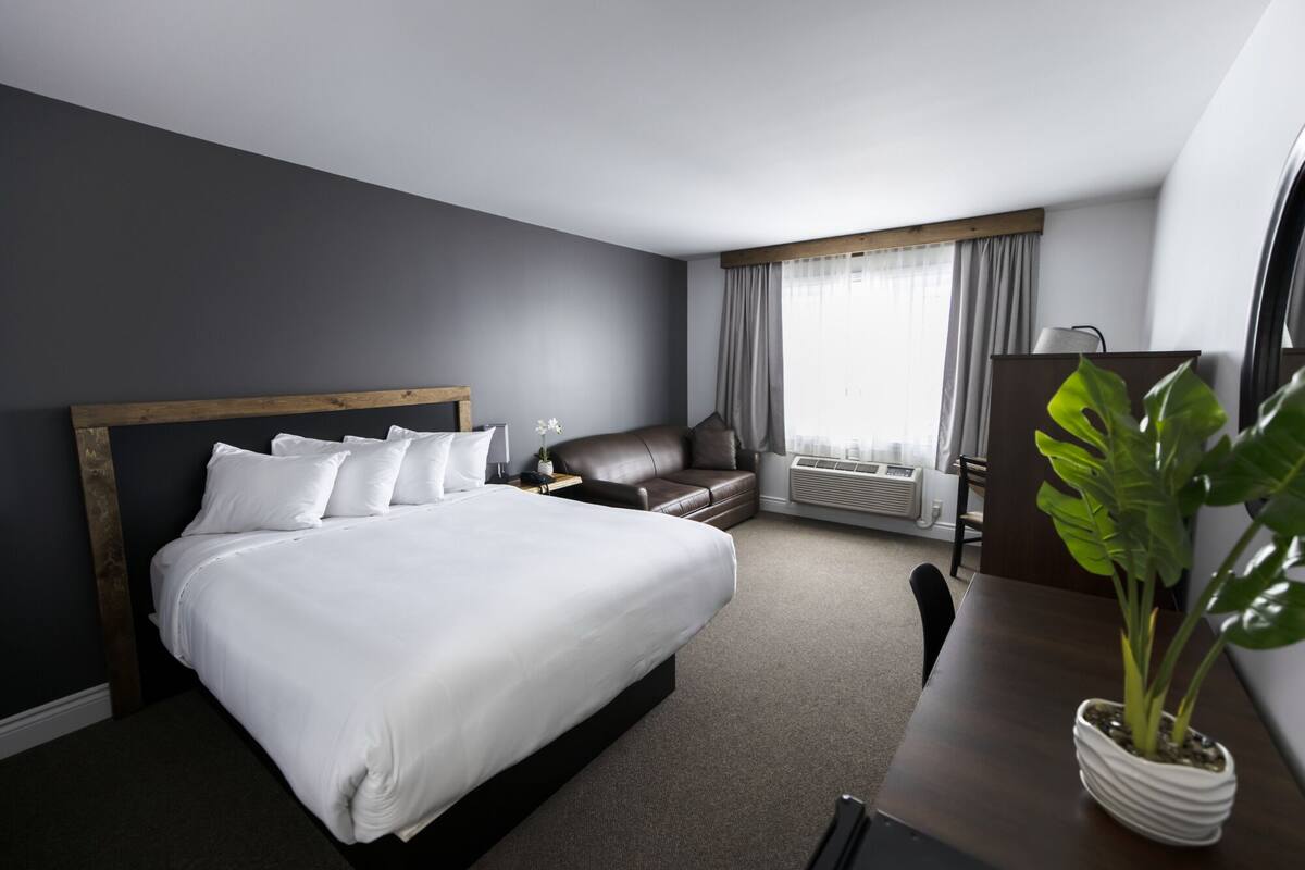 Une chambre d’hôtel avec un grand lit, un canapé, un bureau agrémenté d’une plante et une fenêtre avec des rideaux.