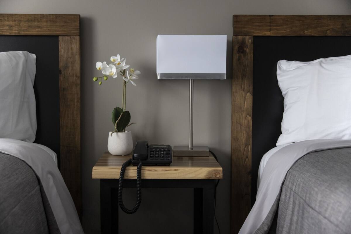 Une chambre d’hôtel avec deux lits, une table de chevet avec une lampe, un téléphone et une plante en pot, une orchidée.