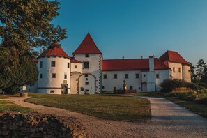 Exterior - Villa Joy With Pool and Hot Tub (Sracinec)