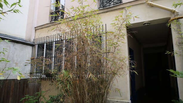 A building with a metal gate, a bamboo plant, and a dark interior entrance.