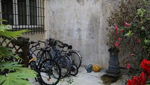 Bicycles parked against a wall, a watering can, and a clock.