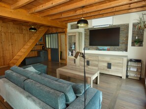 Fernseher, Bücher
