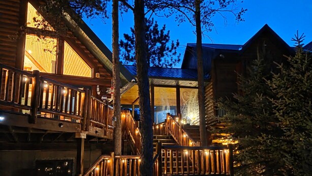 Une cabane en bois avec un escalier menant à une terrasse, entourée d’arbres.