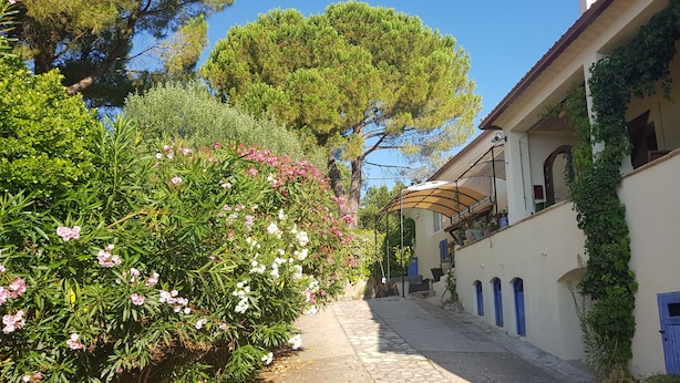 A narrow cobblestone street flanked by lush greenery and traditional architecture. - Chambres D'hôtes La Magnanerie (Saint-Julien-de-Peyrolas)