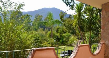 Villa Pelau - Holiday Home