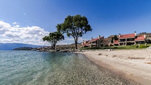 A coastal property with clear waters, a sandy beach, and a large tree. - Lake Chelan Shores: Sandy Beach Delight # 1-5; Chelan, WA. Beautiful 2-bdr condo (Chelan)